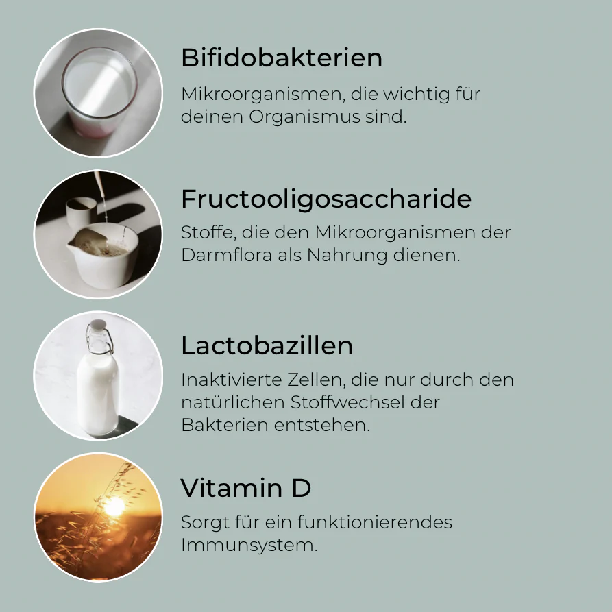 Happy-Bundle - Image 5