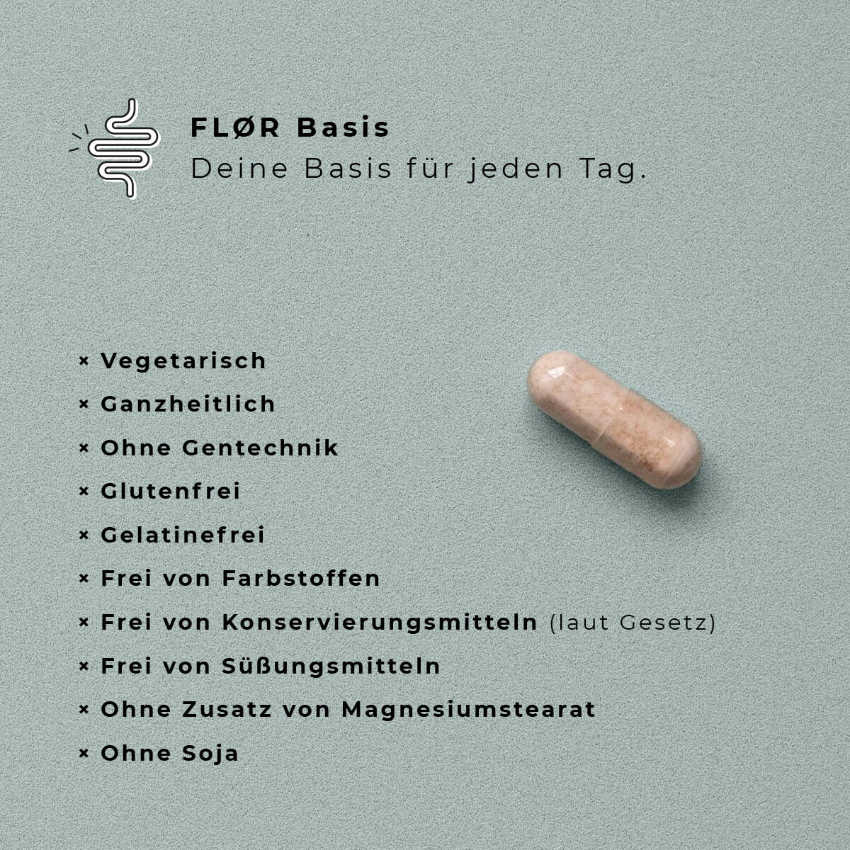 Starter-Pack - Image 6