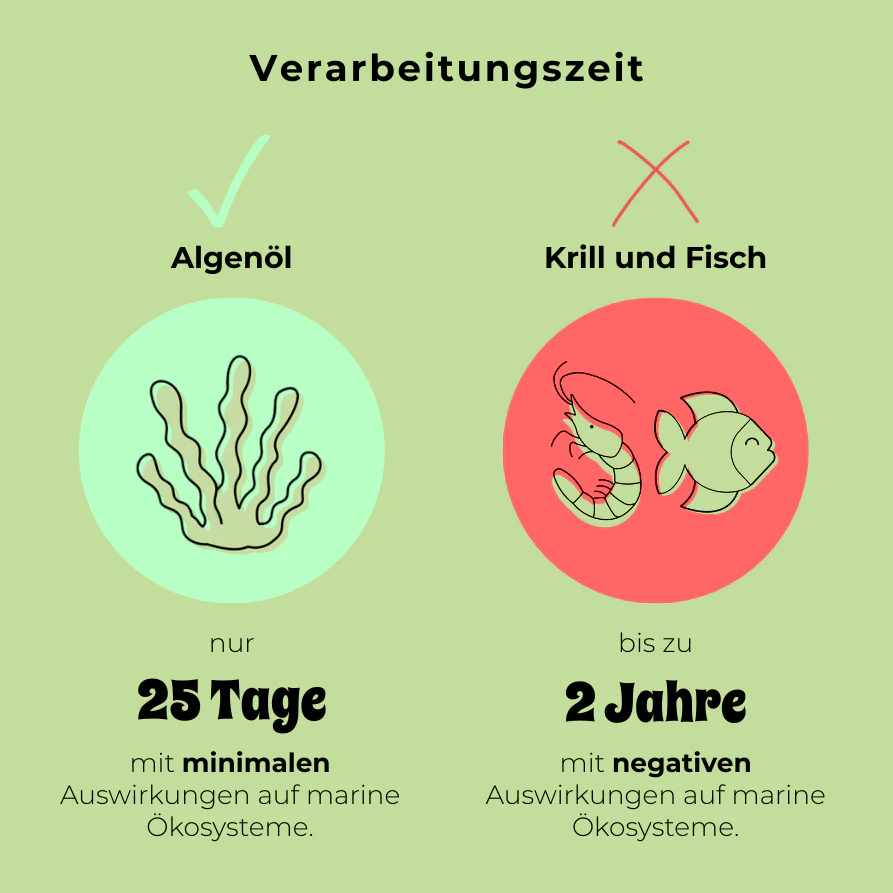 Omega-3 aus Algen - Image 10