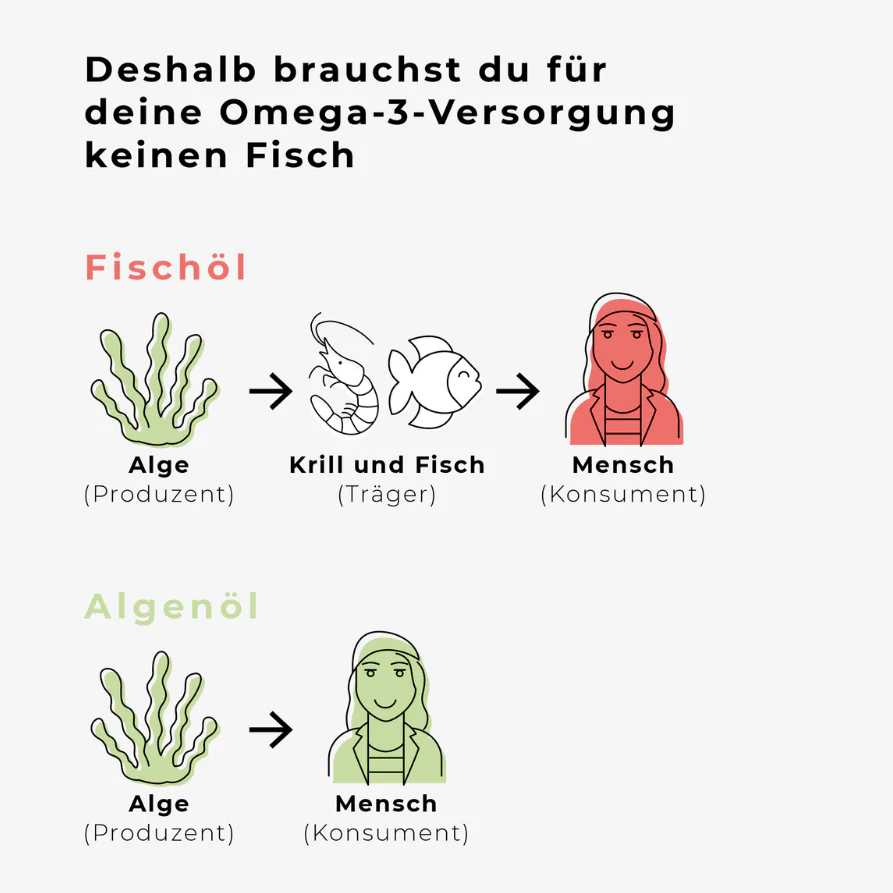 Omega-3 aus Algen - Image 8